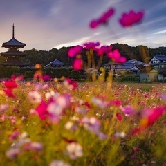 :::  カメラサークル　メンバー募集　::: - メンバー募集