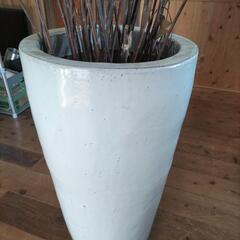 鉢　インテリアの画像