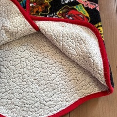 １０月限定🉐更に100円引　
カーズ　スリーパー　95〜125cmの画像
