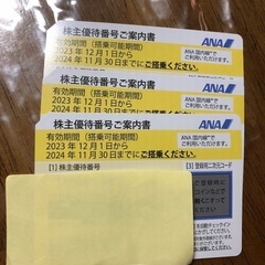 ANA株主優待券３枚1,500円