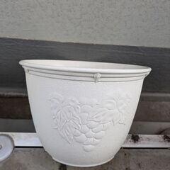 プラスチック　植木鉢