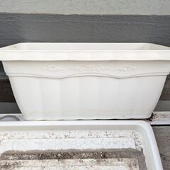 プラスチック製　植木鉢（水受け付き）