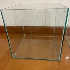 水槽　30センチ四方水槽
