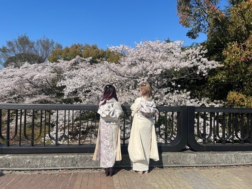 出張着付け～初釜～ | きものトコモノ 着物の出張着付け、ご自宅まで伺います☺︎