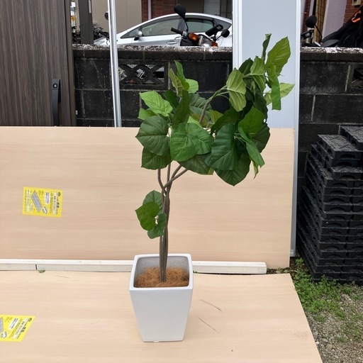 フェイクグリーン インテリア 引き取り限定 A5