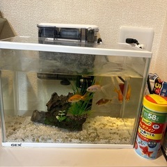 金魚飼育セット　水槽