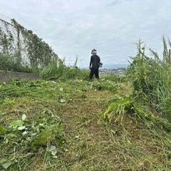 除草スタッフ募集！関東エリアの画像