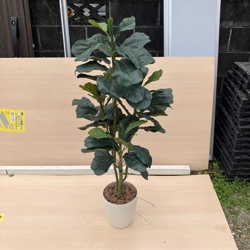 フェイクグリーン インテリア 引き取り限定 A6