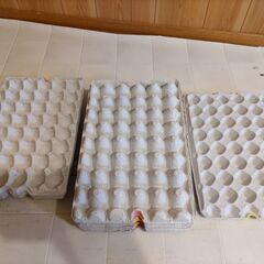 取り引き中 デュビア 生体3000匹くらい＋飼育セット一式 お譲りします 京都左京区下鴨まで引き取りに来れる方限定の画像
