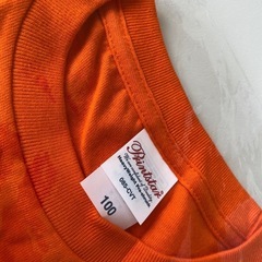 アルビレックス新潟 Tシャツ キッズ 100の画像