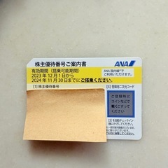 株主優待券　ANA  2024/11/30まで
