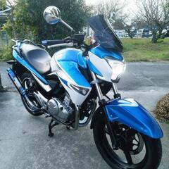 GSR250 Fi★インジェクション★即乗り★自賠責付き(R7/...