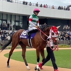 競馬仲間募集♪今週はマイルCS〜競馬で盛り上がりましょう！ − 東京都