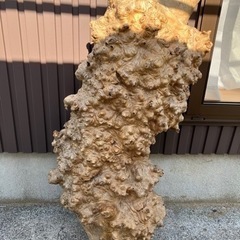 イボイボのついた材木