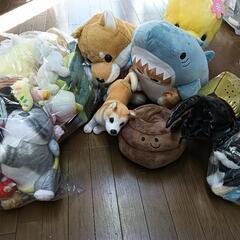 値下げしました　ぬいぐるみ多数の画像
