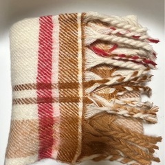 GUマフラーの画像