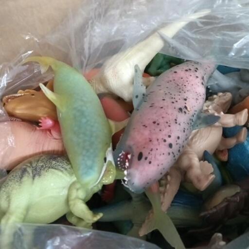 サメや恐竜のフィギュア