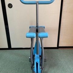 レッグウィング 脚トレーニングの画像