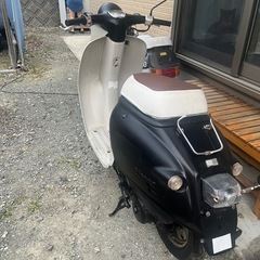 ジョルノの画像