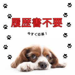 業績安定の為『増員募集』💪施工管理スタッフ❗未経験OK🍀男女問わず活躍中🔥A08K0003-1(19)の画像