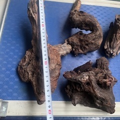 水槽用の流木、熱帯魚の画像