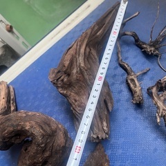 水槽用の流木、熱帯魚の画像