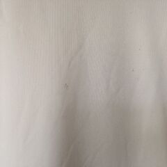 前の所に少し汚れがあります。の画像