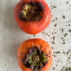 次郎柿5kg 愛知県豊橋産【訳あり/規格外】の画像