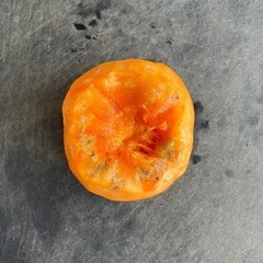 次郎柿5kg 愛知県豊橋産【訳あり/規格外】の画像