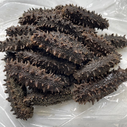 北海道產塩蔵なまこ(海鼠)1kg