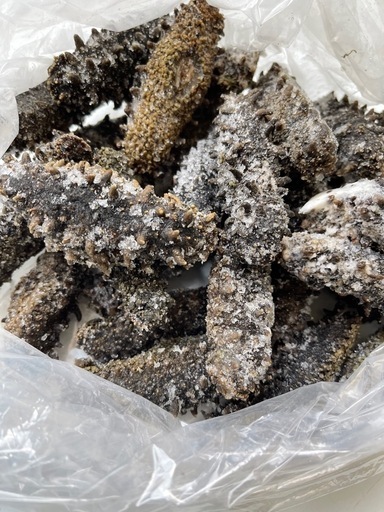 北海道產塩蔵なまこ(海鼠)1kg