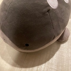 ポケモンドオー ぬいぐるみ 新品未使用の画像