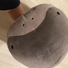 ポケモンドオー ぬいぐるみ 新品未使用