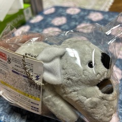 シャクレルプラネット（物々交換可能です）の画像