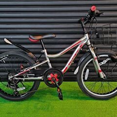 【子供用自転車20インチ】OTOMO オオトモ  STRINGS...