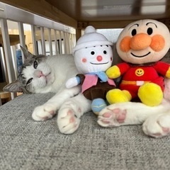 ママ友募集🤍
