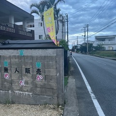 メダカ無人販売所　Google マップに載ってますの画像