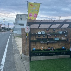 メダカ無人販売所　Google マップに載ってます