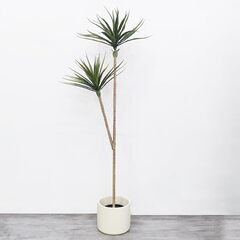 【終了しました】観葉植物 フェイク ユッカツリー 人工観葉植物 ...