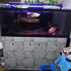 アクリル大型水槽 1500x750x600 オーバーフロー 3重...