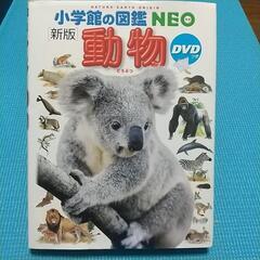 【図鑑 4冊】の画像
