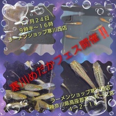寒川めだかフェス！　森のメダカ部出店しまーす！