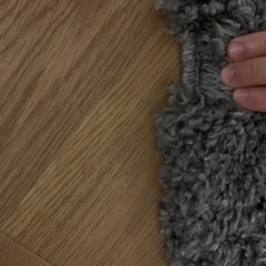 ニトリ　アクセントラグ　Nジーク　カーペット
