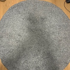 ニトリ　アクセントラグ　Nジーク　カーペットの画像