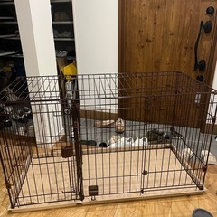 犬　ゲージ