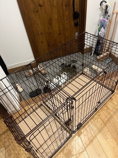 犬　ゲージ