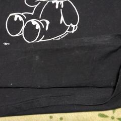 くまちゃん柄半袖Tシャツの画像