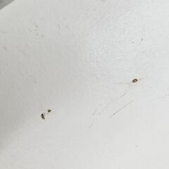 3段チェスト　ホワイト　幅(W)900mm × 奥行(D)440mm × 高さ(H)820mmの画像
