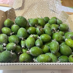 フェイジョア　約1kg