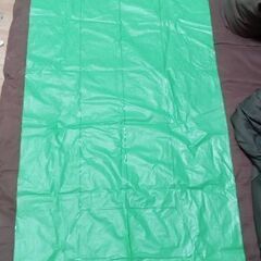 中古〜浮き具🌊　緑🟩green🟩グリーン 浮き輪🛟